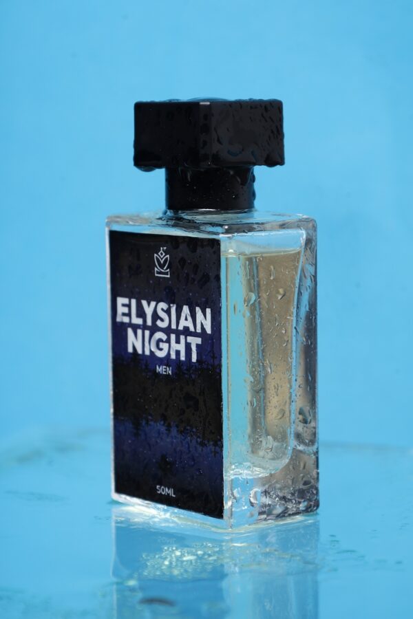 ELYSIAN NIGHT01 ELYSIAN NIGHT
